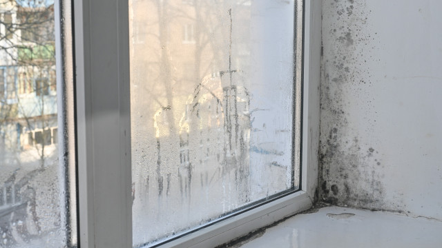 Este truque simples de 5 minutos remove até 75% da humidade da sua casa