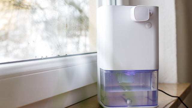 Não deite fora a água do desumificador! Dicas úteis para a reaproveitar