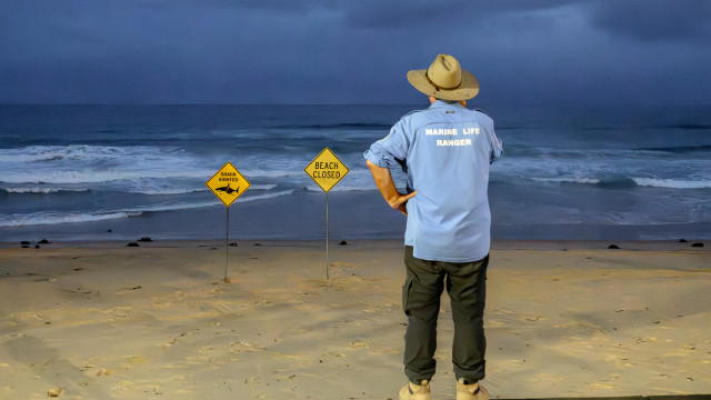 Três ataques de tubarão em menos de 48h: Duas vítimas em perigo de vida