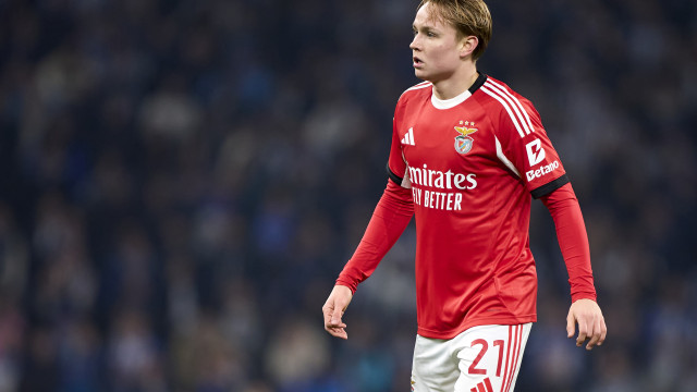 Club Brugge entra em cena por Schjelderup e Benfica já definiu preço 