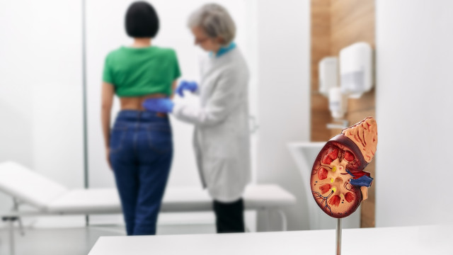 O que fazer todos os dias para prevenir doença renal grave