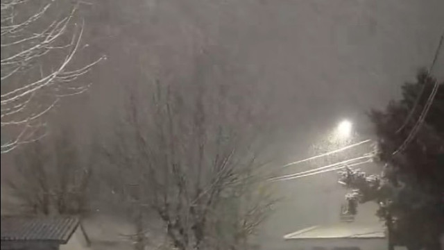 Neve pinta de branco várias zonas do país (até no Alentejo). As imagens