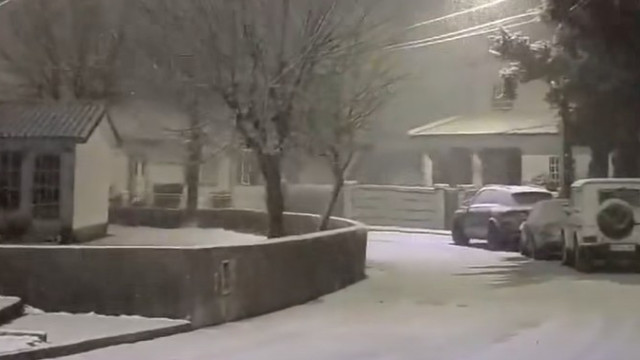 Neve pinta de branco várias zonas do país (até no Alentejo). As imagens