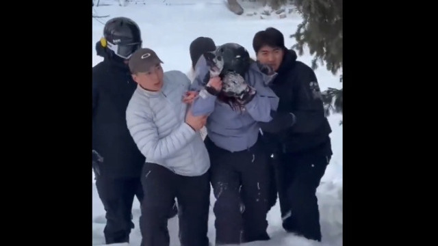 Turista é atacada por leopardo-das-neves em parque da China; veja