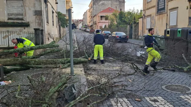
                    Plataforma de alertas de catástrofes entrou em funcionamento em Castelo Branco
                