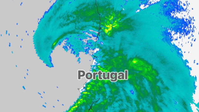 Sting jet volta a Portugal após 8 anos: Mas, afinal, que fenómeno é este?