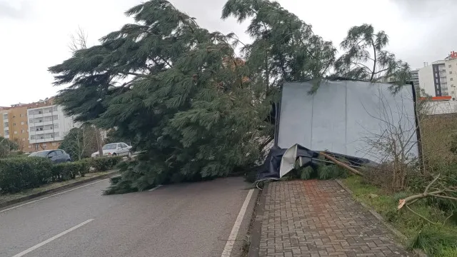 
                    Alvaiázere pede que 