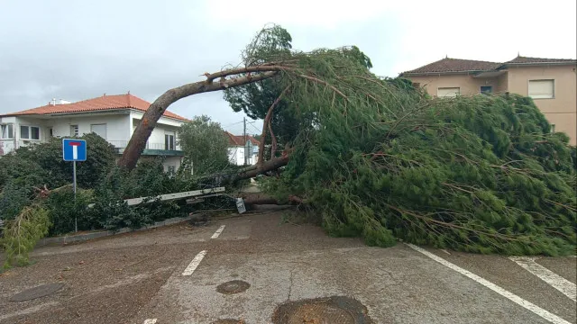 Estrada entre GÃ³is e Arganil reabre ao trÃ¢nsito cinco meses apÃ³s fecho