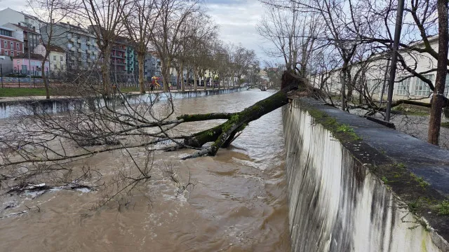
                    Mau tempo: Municípios do Centro reportaram 961 milhões em prejuízos 
                