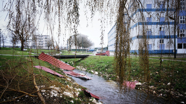 Leiria diz que Proteção Civil e rede elétrica têm de 