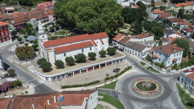 FigueirÃ³ dos Vinhos com 203 mil euros para reabilitar Ã¡reas florestais
