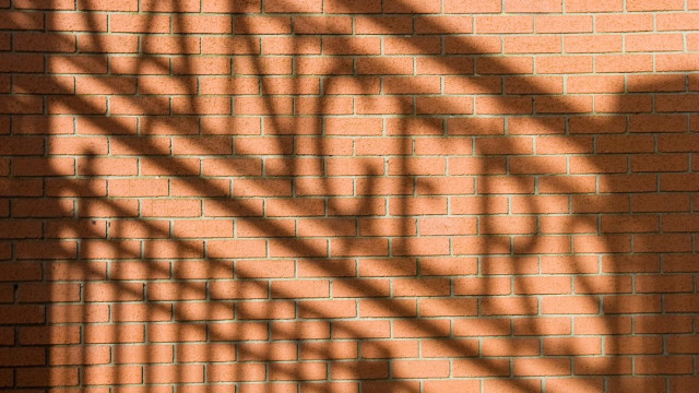 Tragédia. Adepto do Rangers morre antes do jogo com o FC Porto