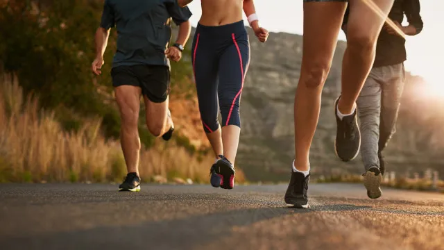 
                    Organização da Meia Maratona do Porto 
