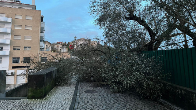 Autarca de Leiria alerta que ansiedade das pessoas está a crescer