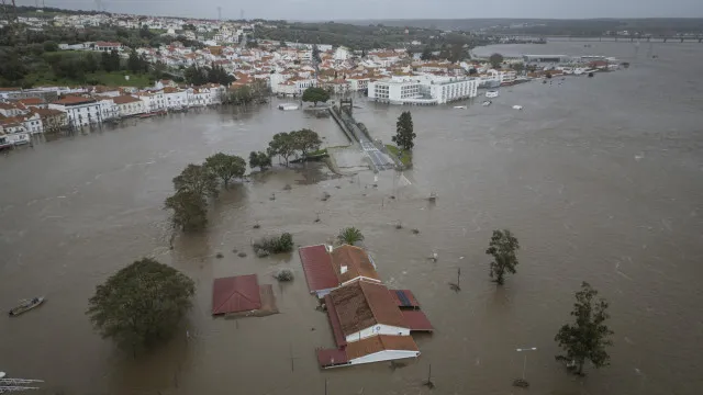 
                    Tempestade Kristin mostrou crise de natureza sistémica, revela relatório
                