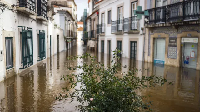 
                    Abertas candidaturas para apoio a bens culturais danificados pelas chuvas
                