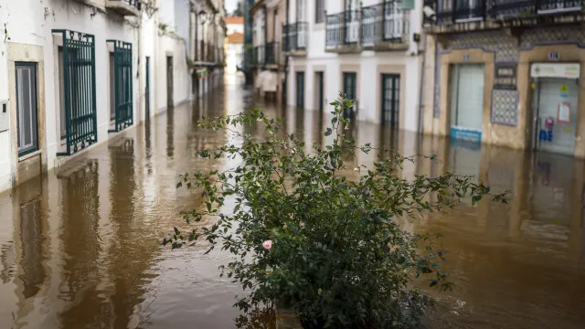 
                    Anafre denuncia falhas persistentes nas redes após tempestades
                