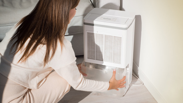 6 coisas que nunca deve fazer com a água do desumidificador