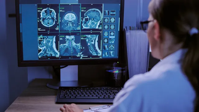 
                    Regeneração cerebral em algumas aves pode inspirar reparações no cérebro humano
                