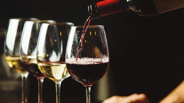 
                    Vinhos Verdes usam IA para detetar erros em rótulos até 2027
                