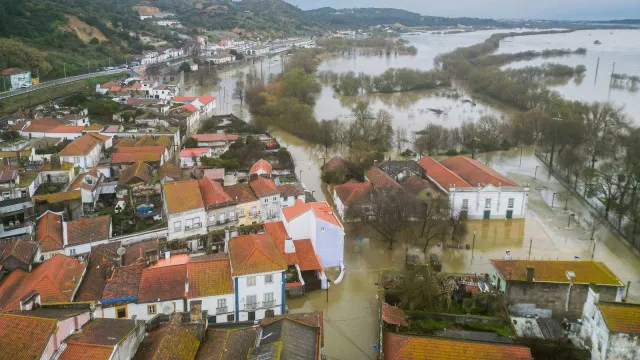 
                    Médio Tejo entra no verão com mais combustível florestal
                