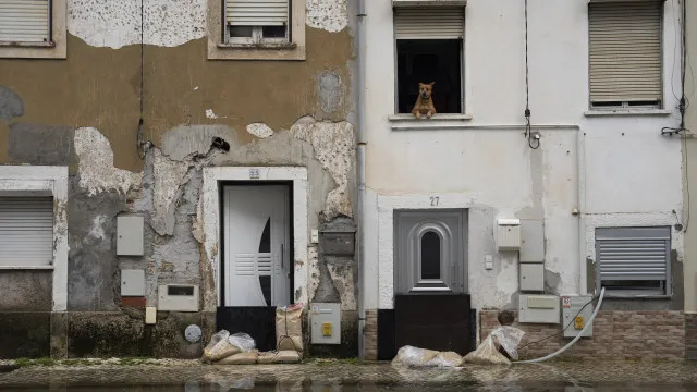 
                    Com dúvidas sobre o PTRR? Eis as perguntas e as respostas do Governo
                