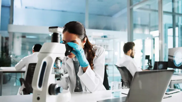 Estudo relaciona pesticidas na infÃ¢ncia com idade da primeira menstruaÃ§Ã£o