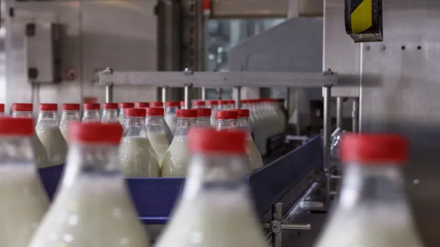 Produtores de leite contestam nova descida do preÃ§o e exigem a reposiÃ§Ã£o
