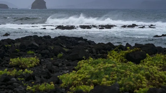 
                    Vento e agitação marítima nos grupos Ocidental e Central dos Açores
                