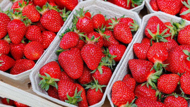 Truque simples faz morangos durarem muito mais na geladeira