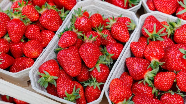 
                    O truque genial que mantém os morangos frescos durante vários dias
                