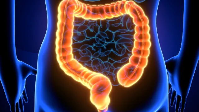 
                    3 hábitos matinais que dão reset no intestino (e ajudam a desinflamar)
                