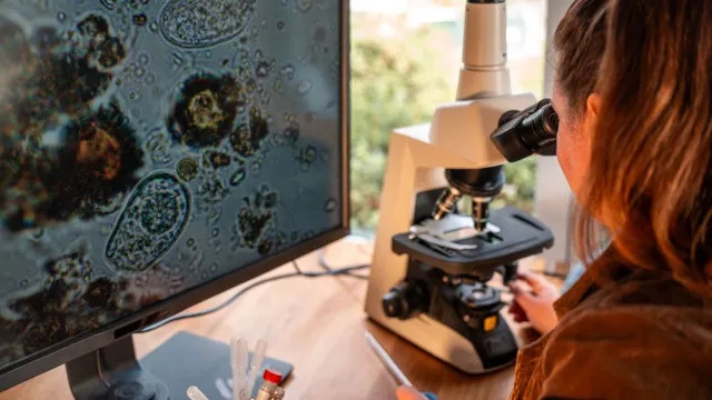 
                    Fungos únicos estão em risco de desaparecer, alerta novo estudo
                