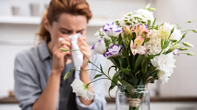 
                    Alergias? Cinco formas de manter o pólen longe de casa na primavera
                