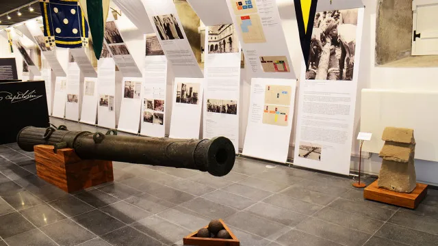 
                    Colubrina do séc. XVI achada nos Açores pode ganhar classificação inédita
                