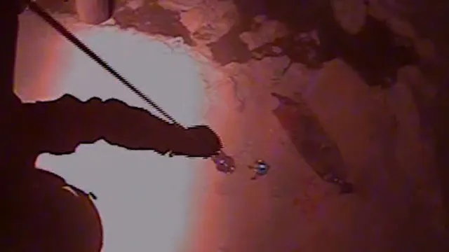 
                    Quatro resgatados (incluindo menor) de barco preso 24h em gelo no Alasca
                