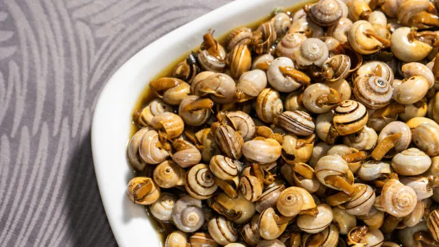 
                    Caracóis em abril? Sim, o petisco já está de volta à grande Lisboa
                