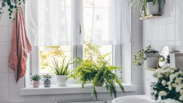 
                    4 truques naturais para deixar a sua casa a cheirar (muito) bem
                