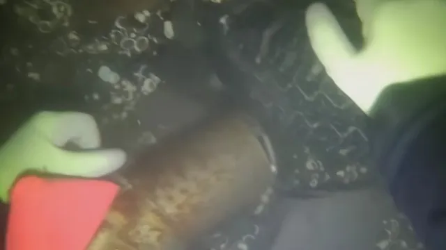 
                    Mergulhador recuperou restos mortais de família desaparecida há 66 anos
                