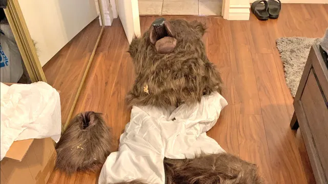 
                    Usam fato de urso para 'atacar' carro e enganar seguradora. As imagens
                