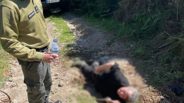 
                    Idosa encontrada em Braga após 