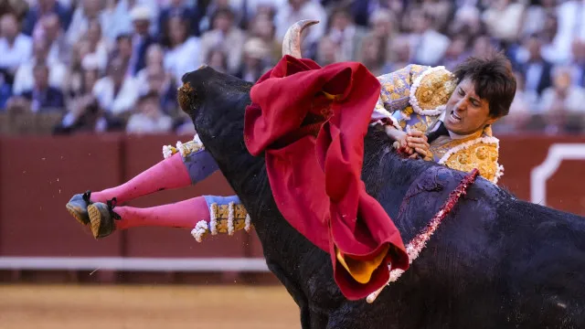 
                    Toureiro ferido após ser colhido por touro em Sevilha. É o 2.º incidente
                