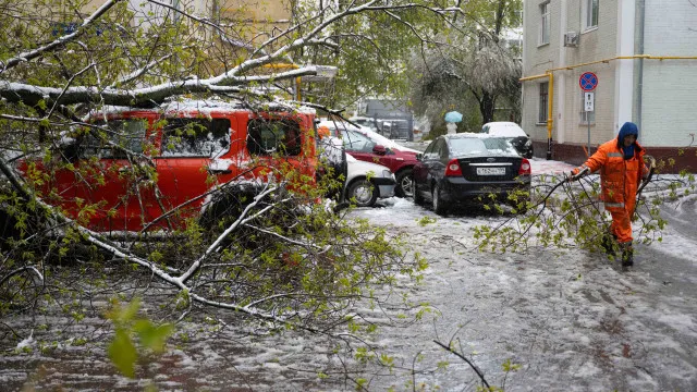 
                    Tempestade em Moscovo cancela voos, derruba árvores e corta energia
                
