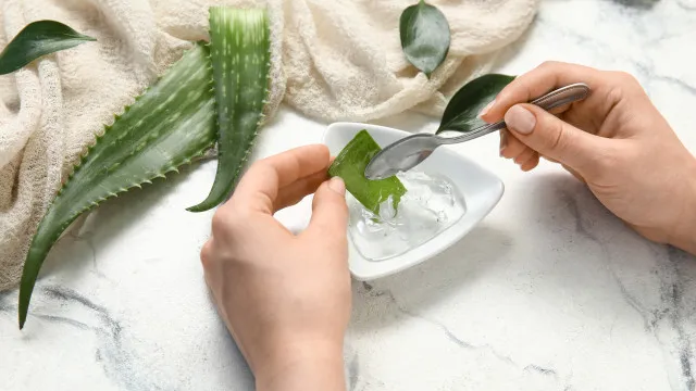 
                    Natural e barata! Plante aloé vera num vaso e use-a para cuidar da pele
                