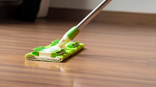 
                    Não serve apenas para limpar o pó. 5 usos que pode dar à sua mopa
                