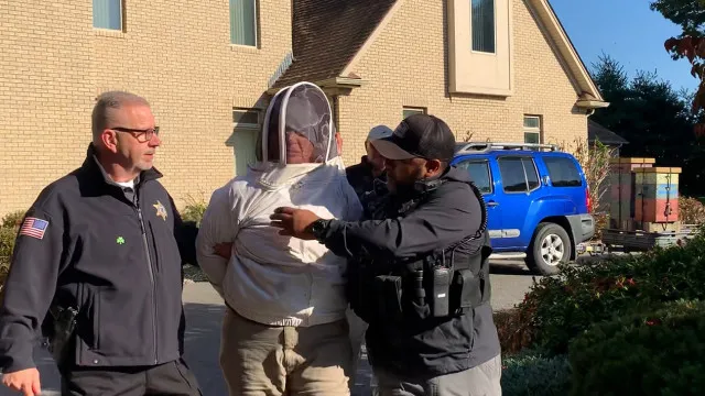 Apicultora condenada após atiçar abelhas para evitar despejo de idoso