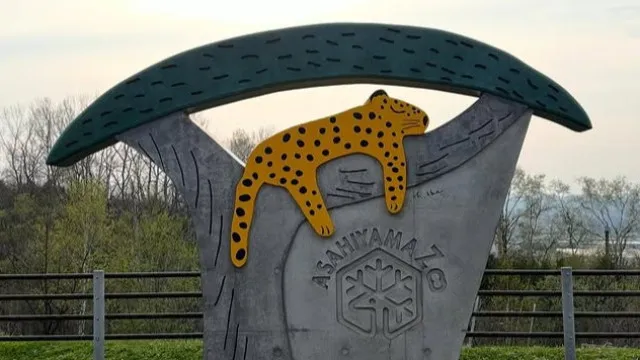 Detido no Japão após incinerar corpo de mulher em zoo "durante horas"