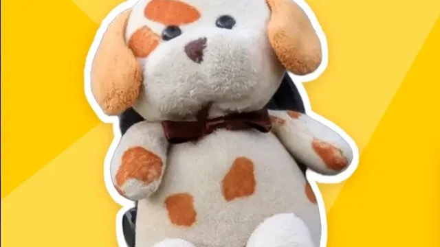 
                    Casal procura peluche roubado em Sevilha e que pertencia a filho falecido
                