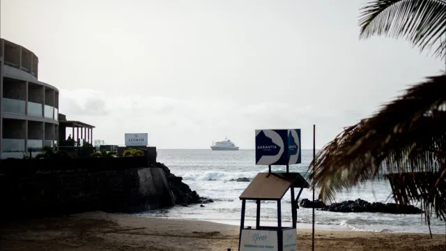 
                    Seis casos de hantavírus confirmados até ao momento
                
