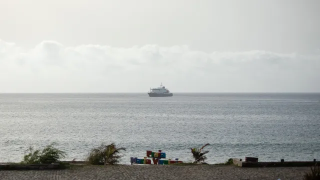
                    Hantavírus: Navio leva 144 pessoas a bordo sem sintomas
                